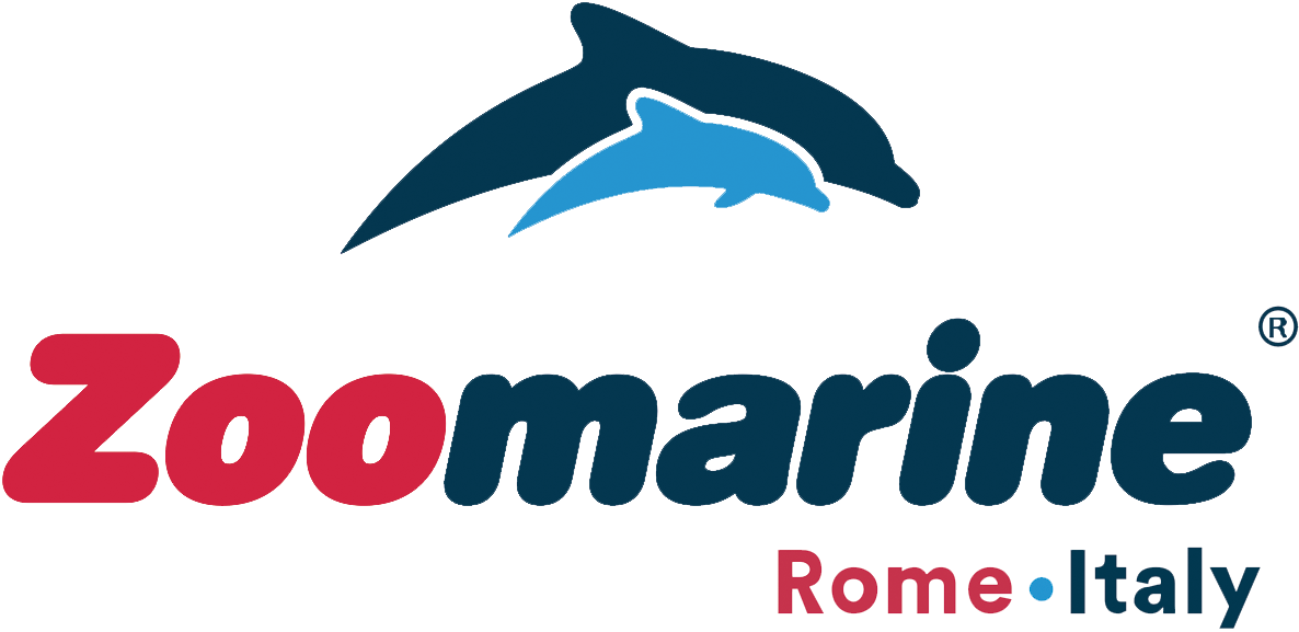 ZooMarine – Copia